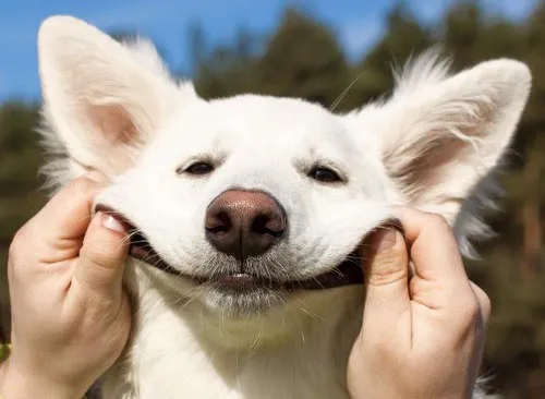 Smile and Discover How Your Life Changes