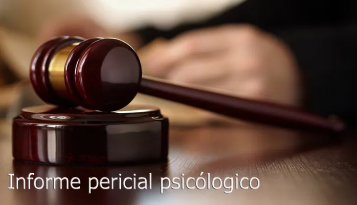 Forensic Psychological Report