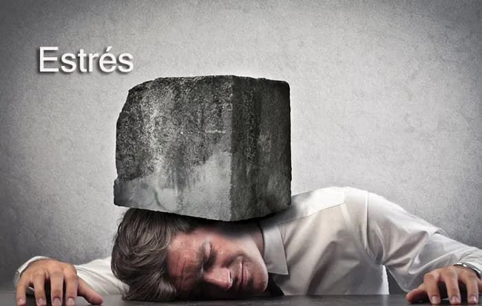 6 simple techniques to enjoy your life when you are stressed