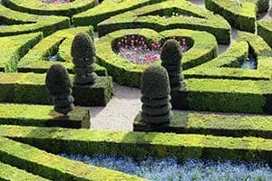 garden with heart-shaped plants, symbolizing the garden of love