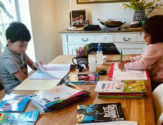 Educational resources to learn from home